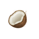 Coconut Toothpaste Test