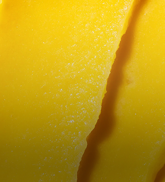 Sorbete de Mango