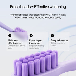 Obsessive Pro Electric Toothbrush Test